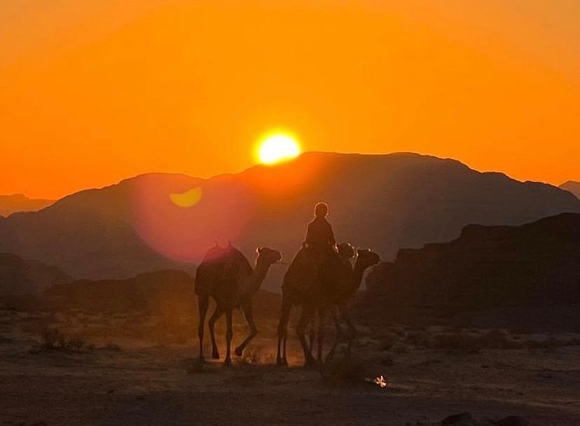 Wadi Rum Travel Camp エクステリア 写真